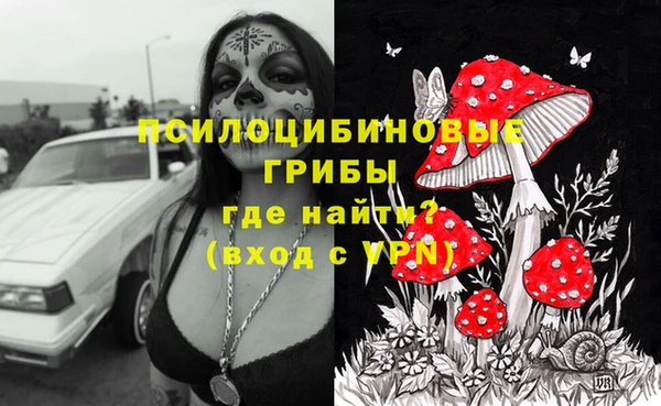 соль ск Балабаново
