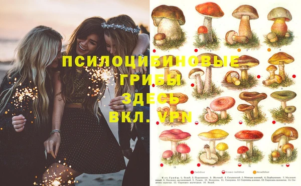 дмт Баксан
