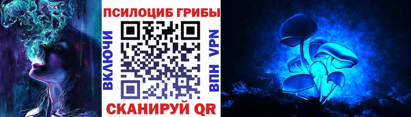 Псилоцибиновые грибы MAGIC MUSHROOMS  Нерюнгри 