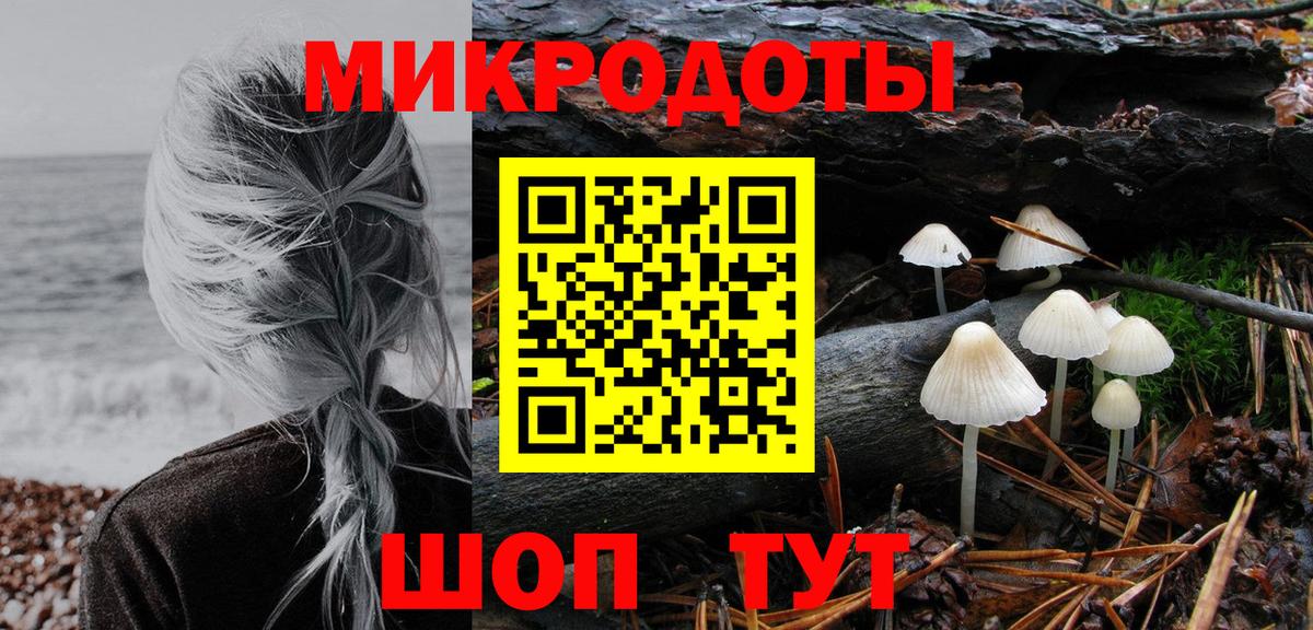 Нерюнгри  Галлюциногенные грибы прущие грибы  Вход с VPN 